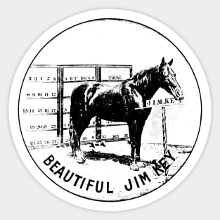 Beautiful Jim Key Performing Horse Sticker